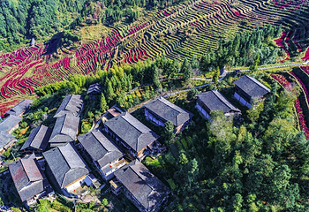 布尼梯田加乌瀑布景区第 6 张图片