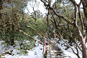 轿子雪山第 22 张图片