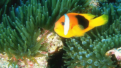 海上世界第 18 张图片