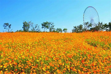 泰山天颐湖旅游度假区第 13 张图片