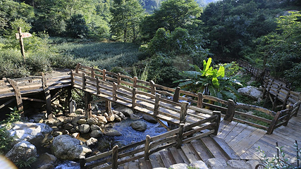 雁南飞茶田景区-桥溪古韵第 25 张图片