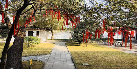 双沟酒文化旅游区第 8 张图片
