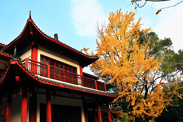 桂林市訾洲岛景区第 27 张图片
