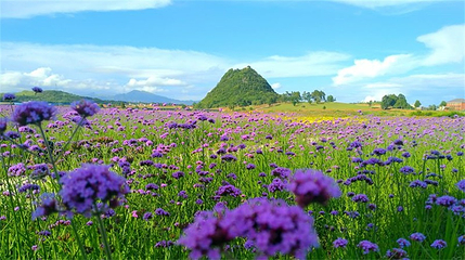 独山天洞景区第 9 张图片