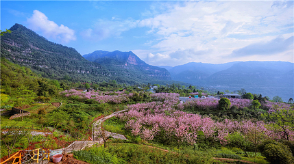 綦江国家地质公园翠屏山景区第 5 张图片