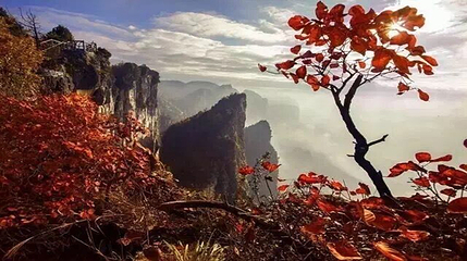 蝶舞清江·恩施野三峡综合旅游区第 52 张图片