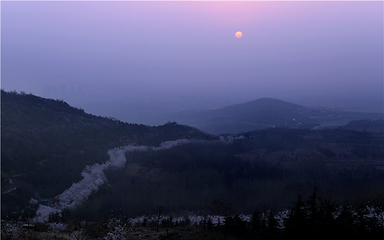 樱花山风景区第 70 张图片