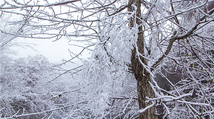 玉舍雪山滑雪场第 56 张图片