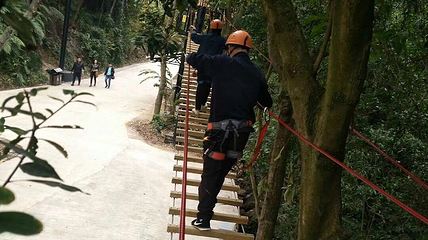 南丹山森林王国第 58 张图片