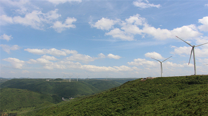 龙里油画大草原第 16 张图片