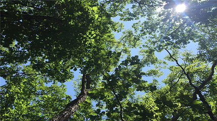 参仙谷生态旅游度假区第 24 张图片