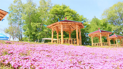 九峰山养心谷旅游度假区第 5 张图片