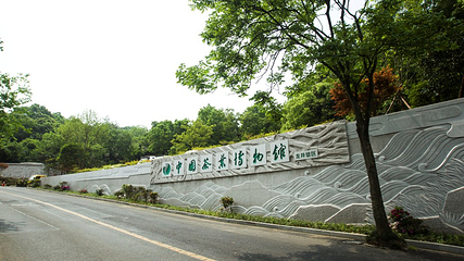 中国茶叶博物馆龙井馆区第 35 张图片