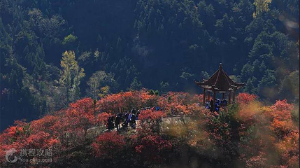 红山翠谷风景区第 2 张图片