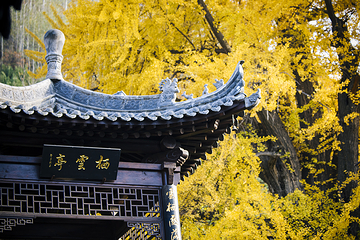 古观音禅寺第 5 张图片