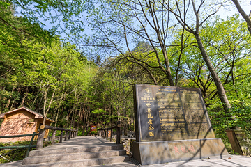 金鞭溪峡谷第 10 张图片