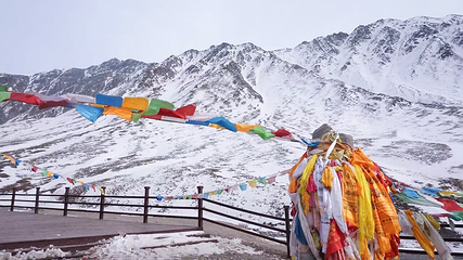 祁连山·岗什卡雪峰景区第 11 张图片