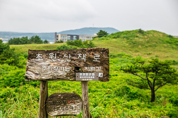 涉地可支第 18 张图片