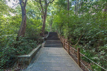 上海佘山国家旅游度假区第 21 张图片