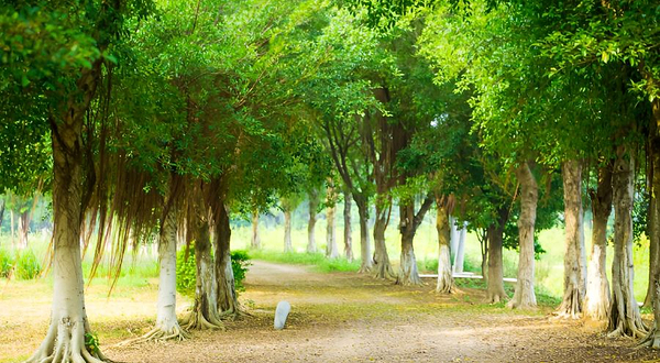 天湖生态旅游度假