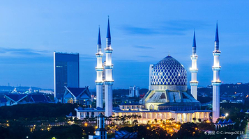 苏丹沙拉胡汀阿都阿兹沙清真寺