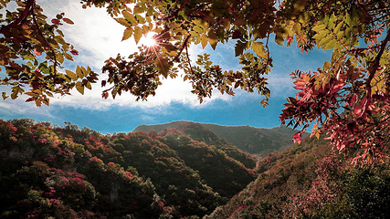 大熊山摘星楼风景区第 2 张图片