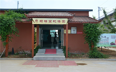 烟台蛇博园第 11 张图片