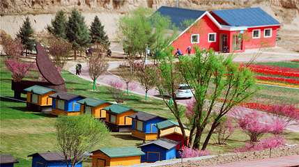 栖云花田第 46 张图片