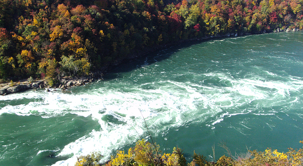 Niagara Glen Nature Areas