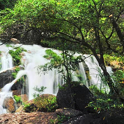 屏峰雨林恐龙公园