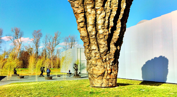 北卡罗来纳艺术博物馆