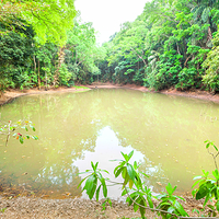 乌达瓦塔凯勒保护区