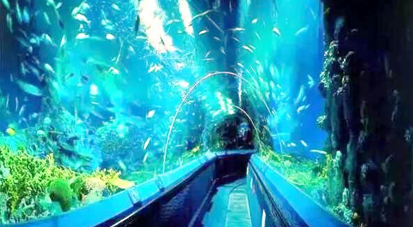 扬州极地海洋世界萌宠乐园