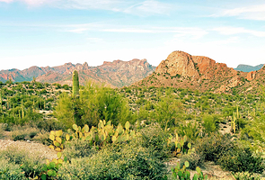 亚利桑那索诺拉沙漠博物馆