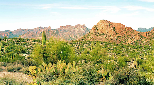 亚利桑那索诺拉沙漠博物馆
