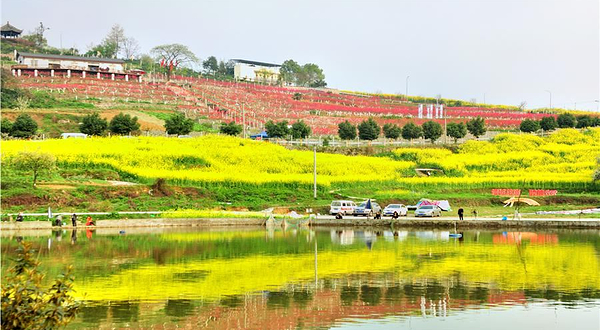 重庆歌乐山桃花谷