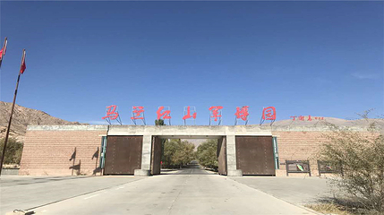 马兰红山军博园第 5 张图片
