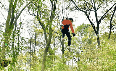 沃普·紫金山探险营地第 32 张图片