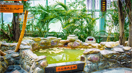 沙温泉度假村第 22 张图片
