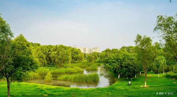 白浮泉公园森林牧场