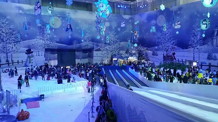 飘雪世界第 31 张图片