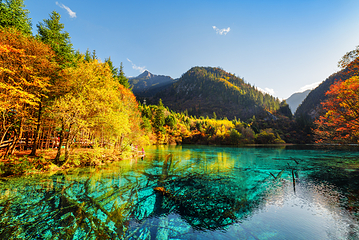 九寨沟风景区第 654 张图片