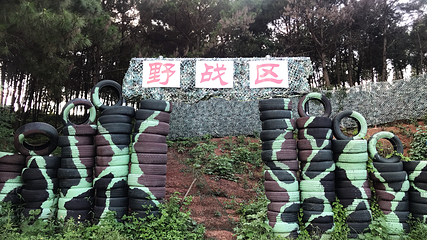 那贵樱花园第 11 张图片