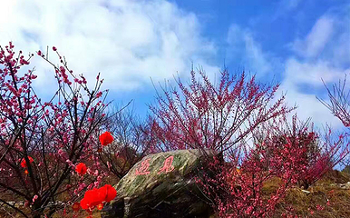 燕儿谷景区第 24 张图片