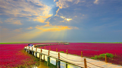 红海滩国家风景廊道第 76 张图片