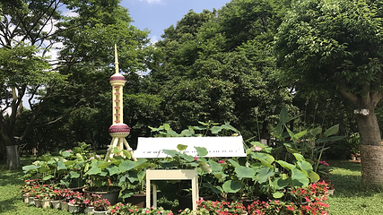 大观公园第 27 张图片