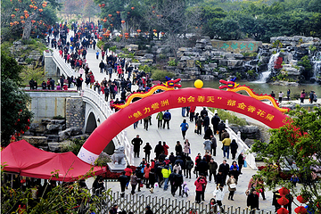 桂林市訾洲岛景区第 40 张图片