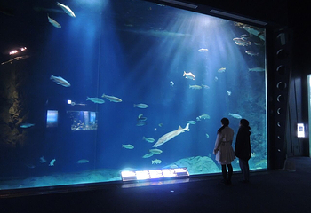 千岁水族馆第 19 张图片