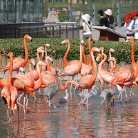 石家庄市动物园