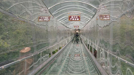 南丹山森林王国第 50 张图片